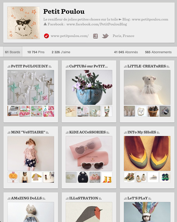 Capture Pinterest Petit Poulou